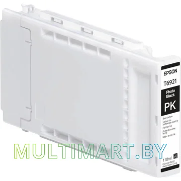 Картридж Epson C13T692100 картинка 2